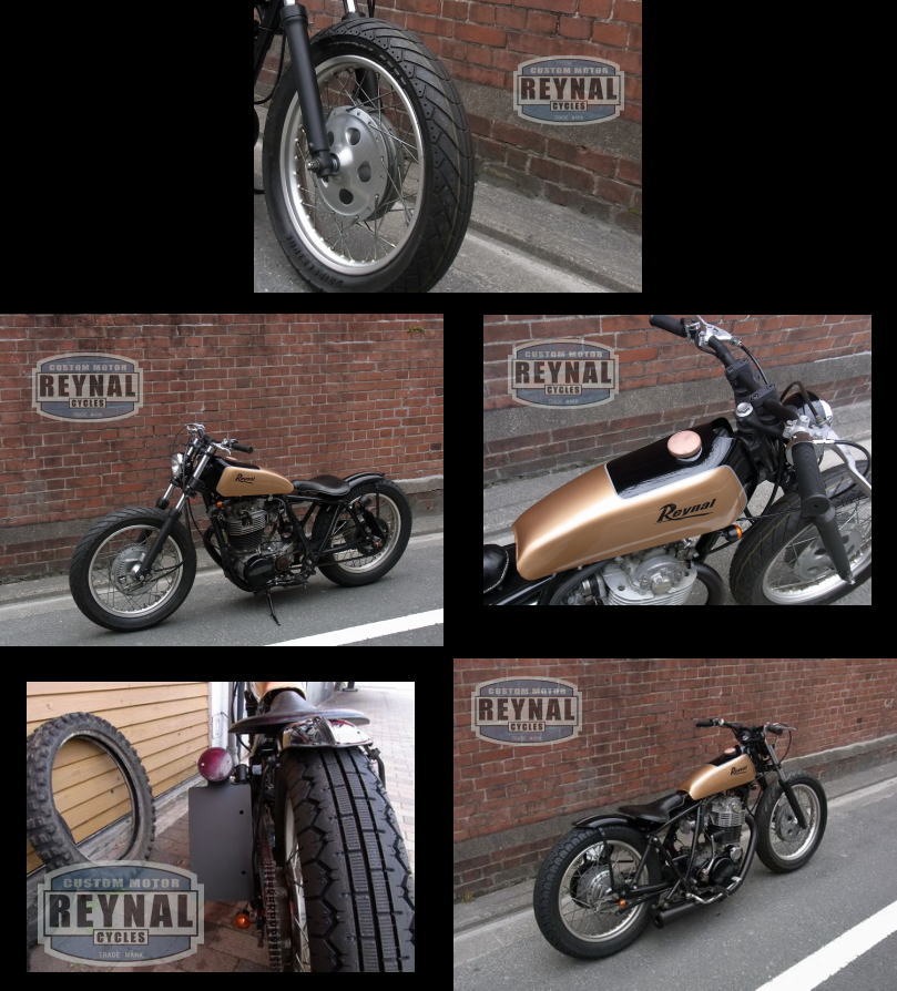 SRカスタムスパークゴールド画像2